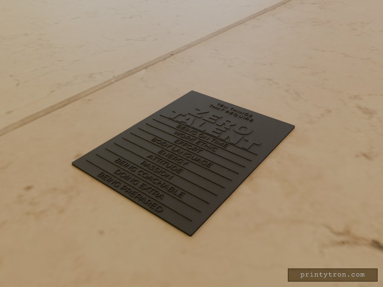 Zero Talent Motivational Wall Plaque